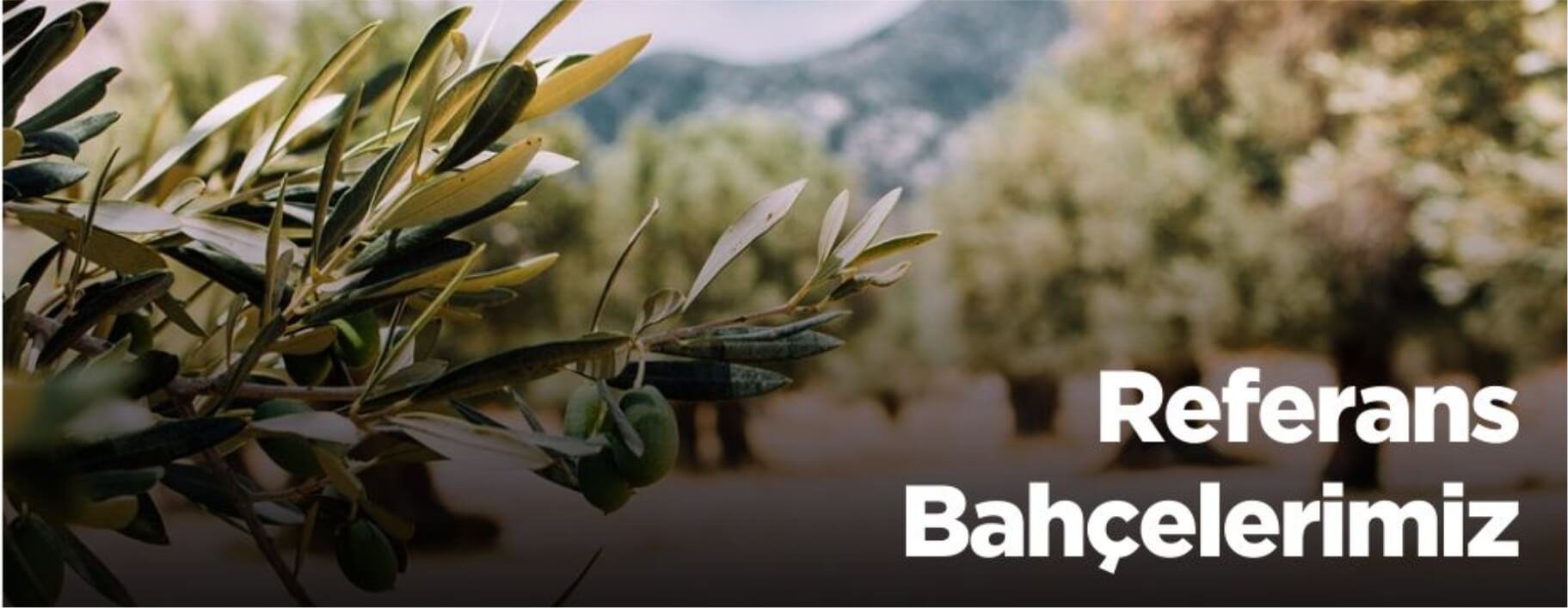 referans-bahçelerimiz.jpg (102 KB)